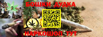 индика Кулебаки