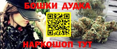 индика Кулебаки