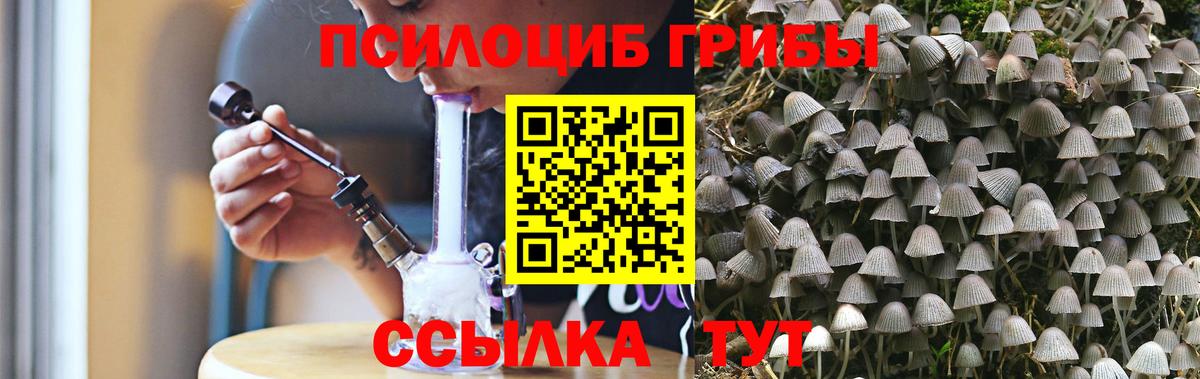 Галлюциногенные грибы GOLDEN TEACHER Феодосия