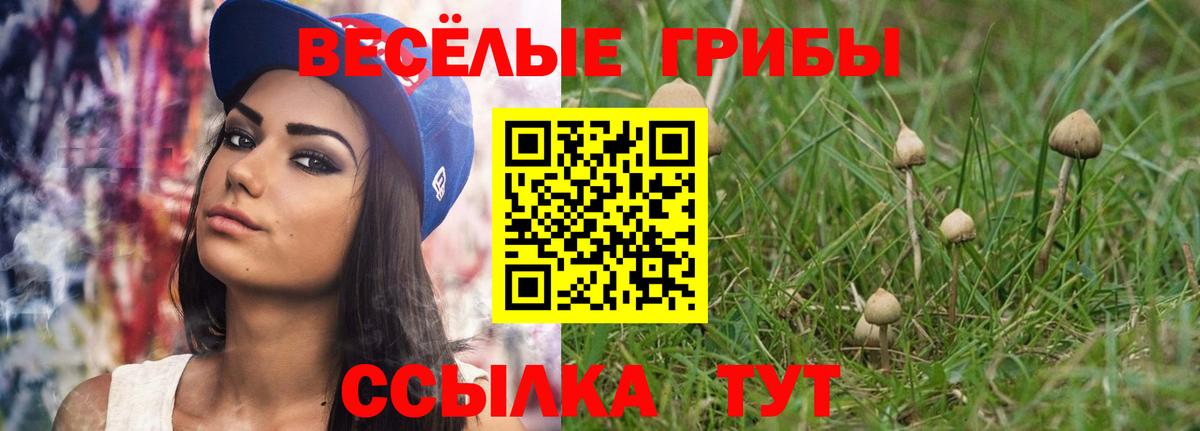 Феодосия  Галлюциногенные грибы ЛСД  Вход с VPN  Галлюциногенные грибы MAGIC MUSHROOMS 